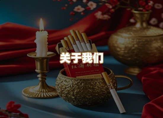 关于蓝帝网